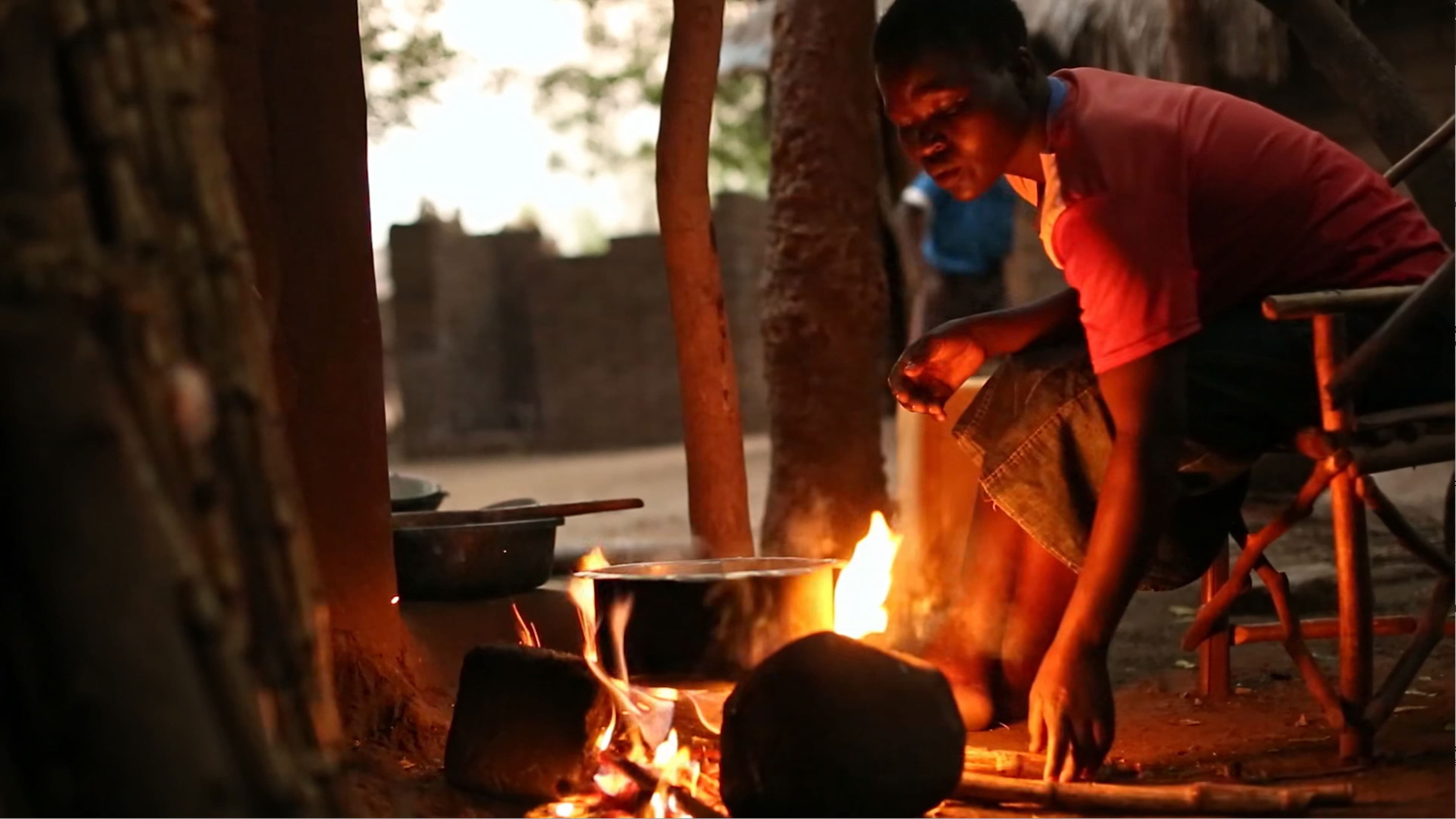 Modern Cooking Fuels