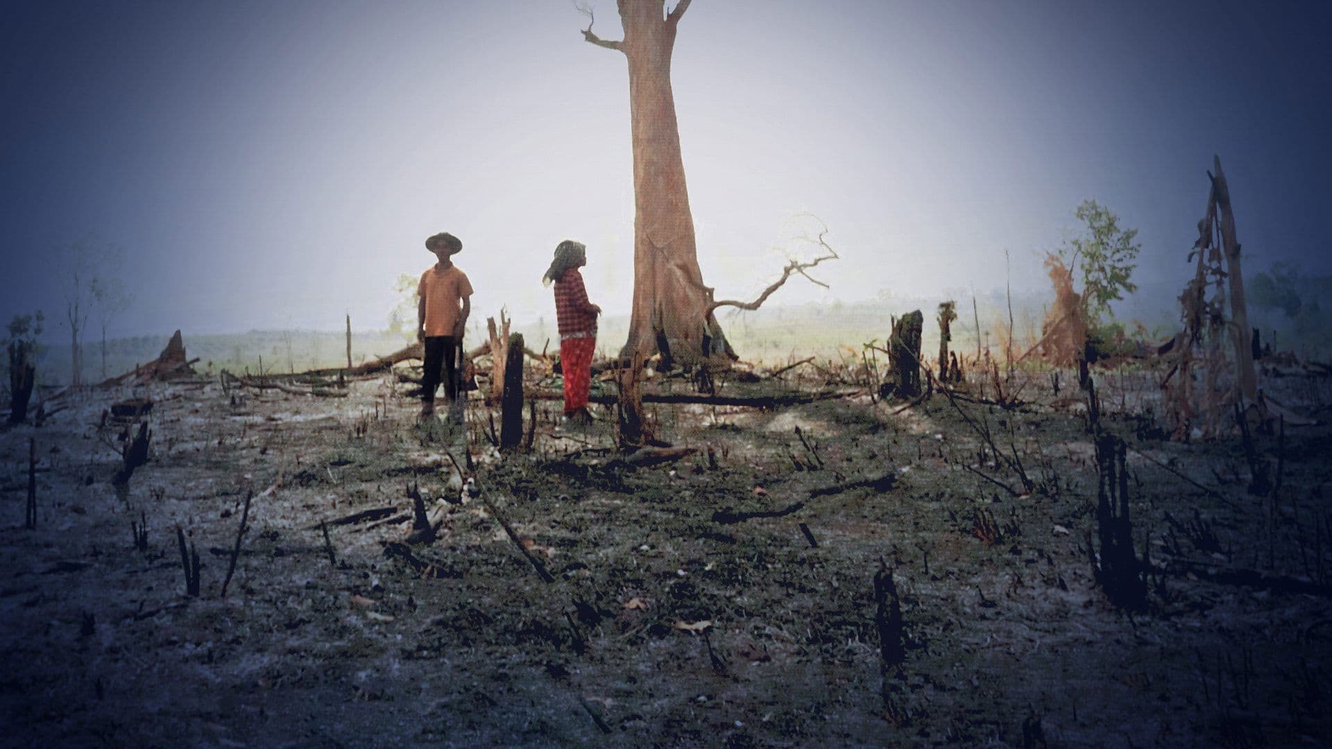 Big Brands’ Green Claims Uncovered