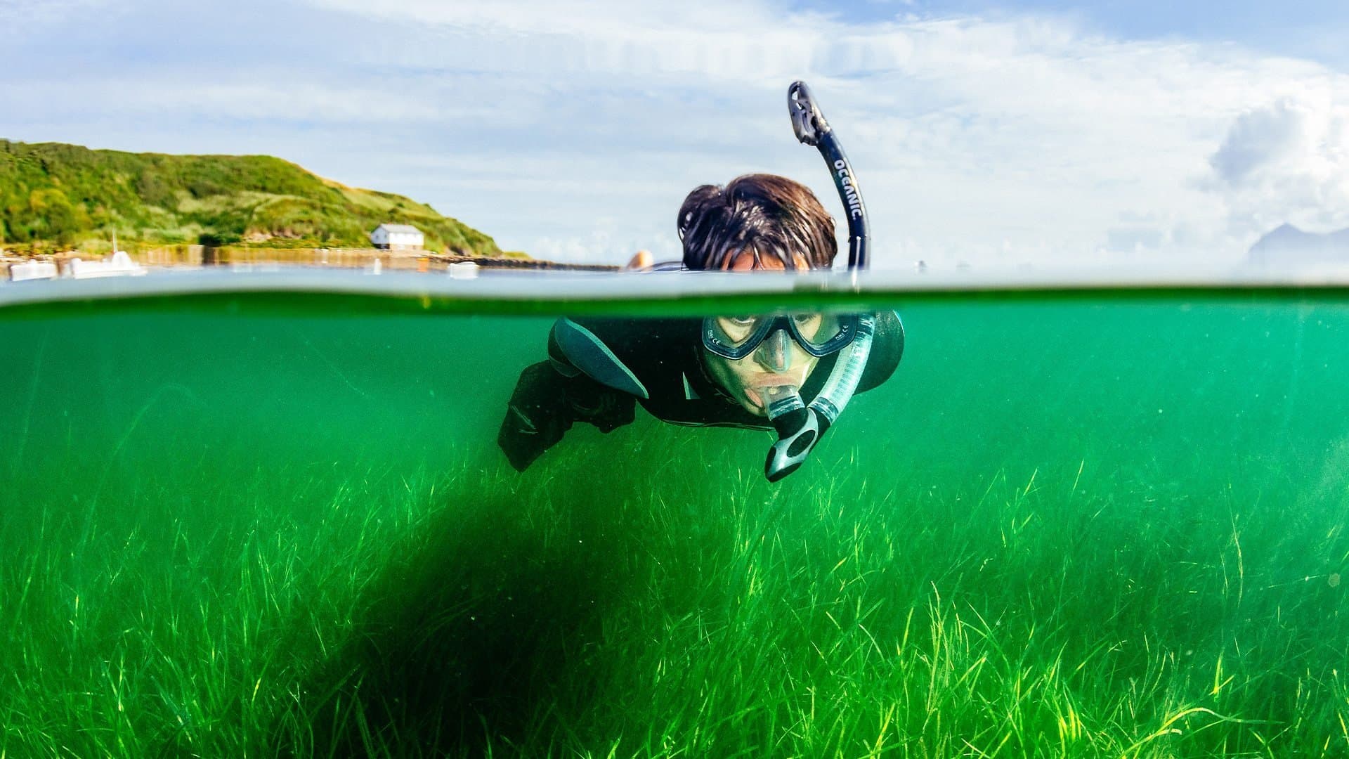 Saving Our Wild Isles