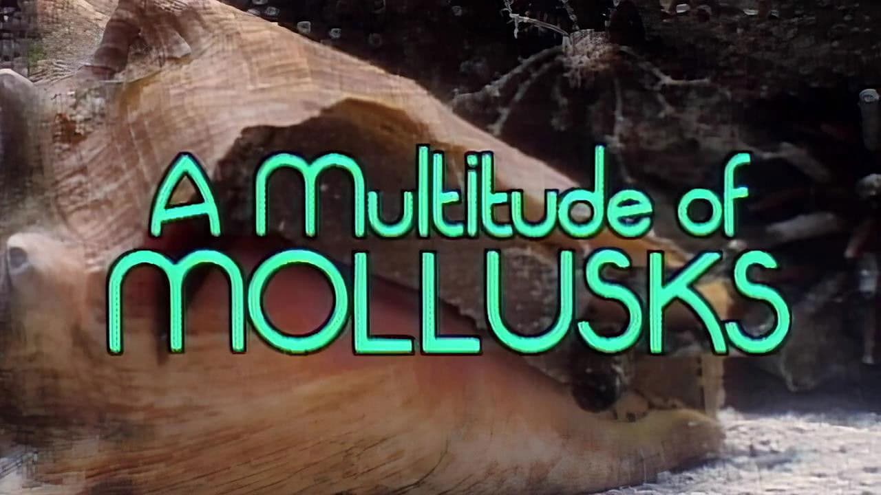 A Multitude of Mollusks