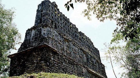 Lost King of the Maya