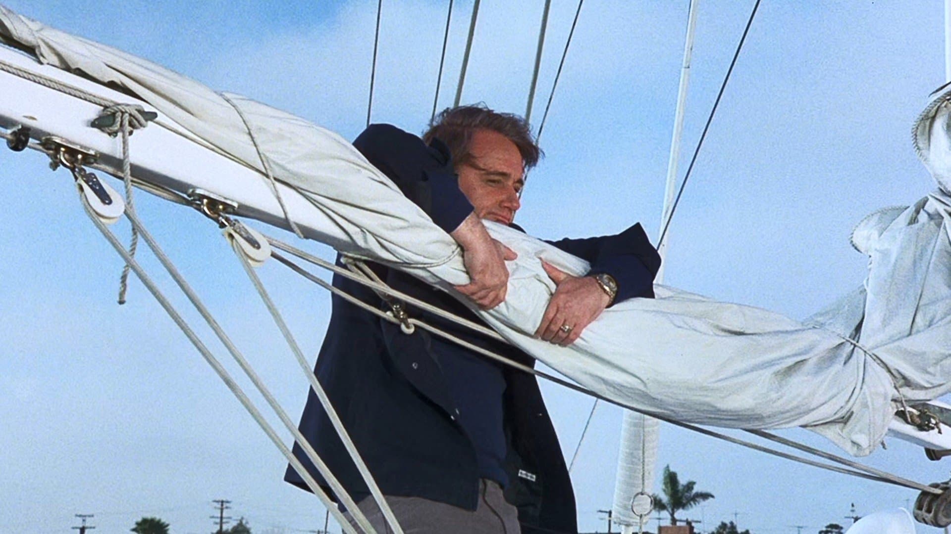 Last Salute to the Commodore