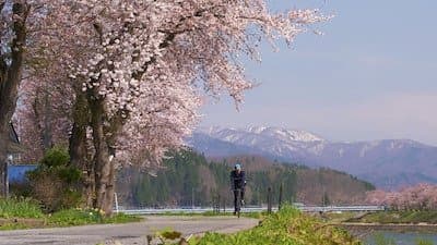 Akita - Discovering the Traditions of the North