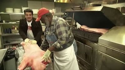 Carnivore Chronicles 6: Meat Glorious Meat