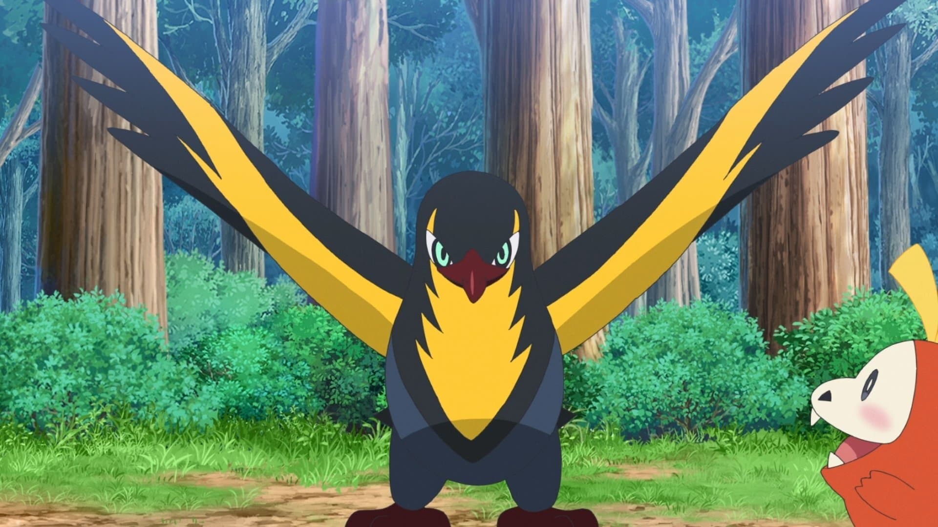 Wattrel's High Wind Warning!