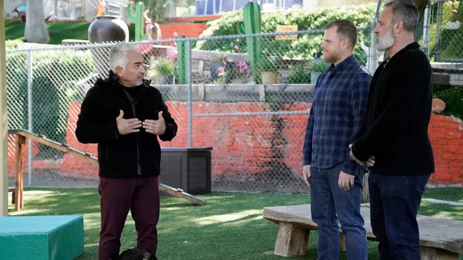 Don't Blame the Breed