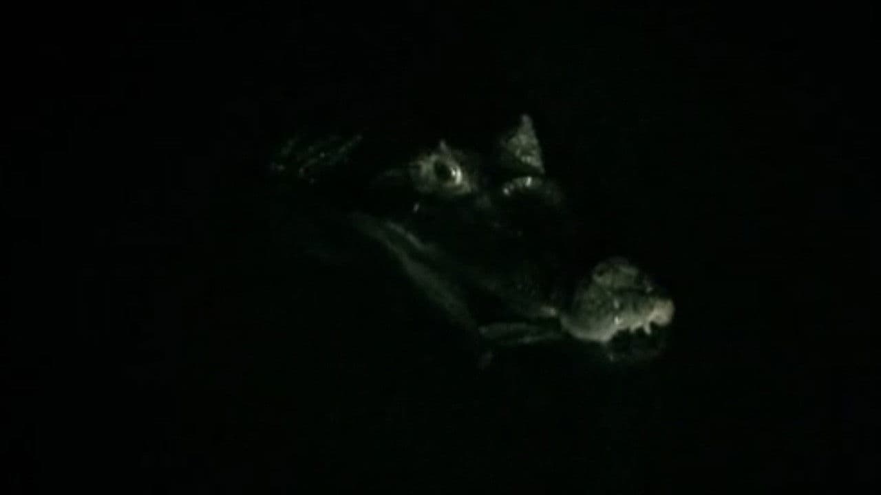 The Deadliest Encounters