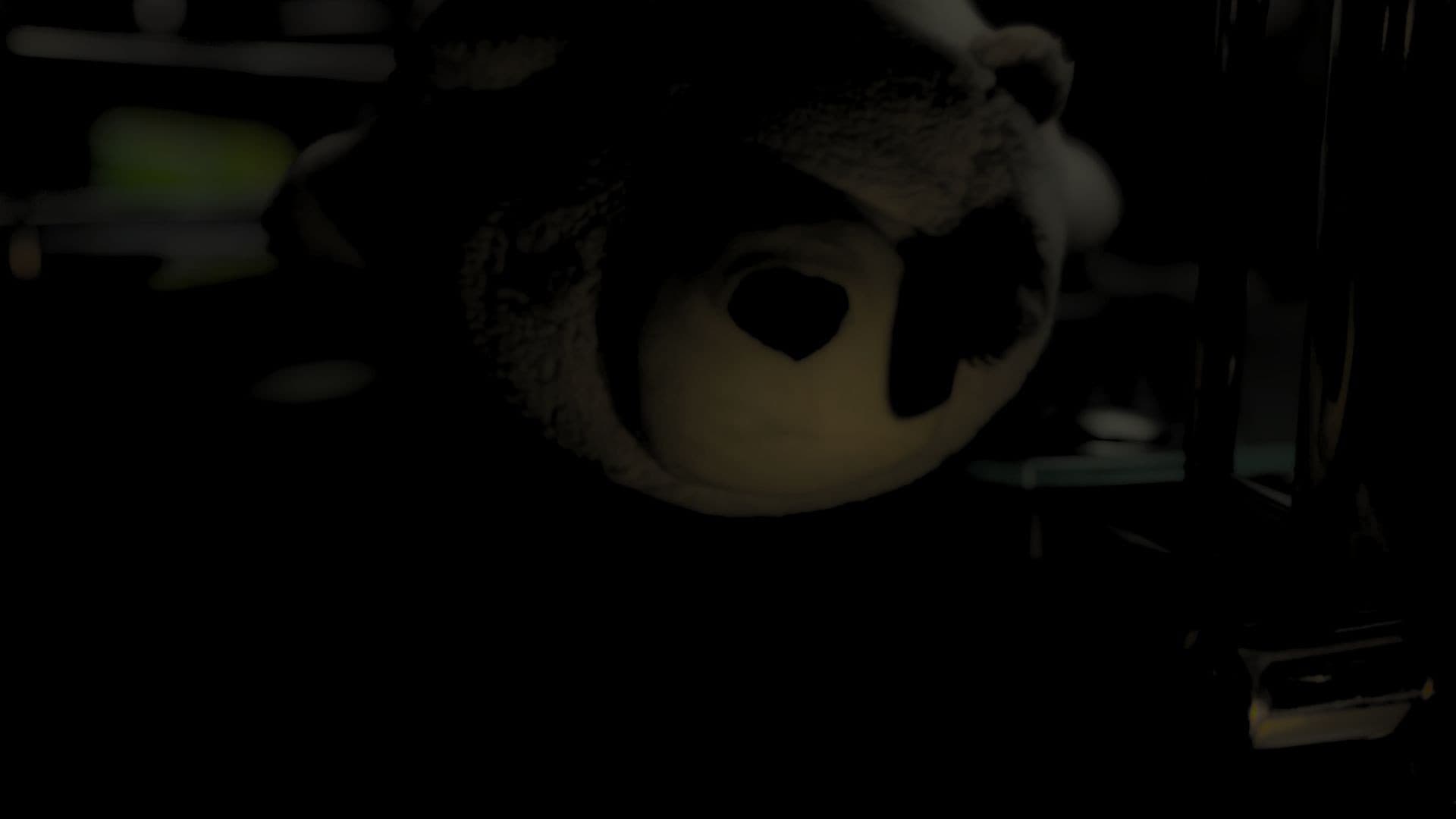 Echoes Behind the Veil