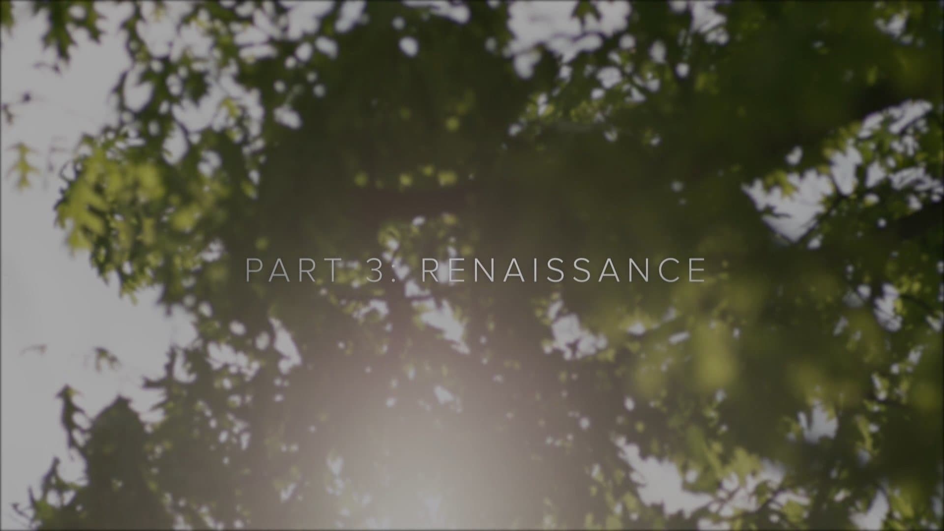 Twin Peaks: The Phenomenon Part 3