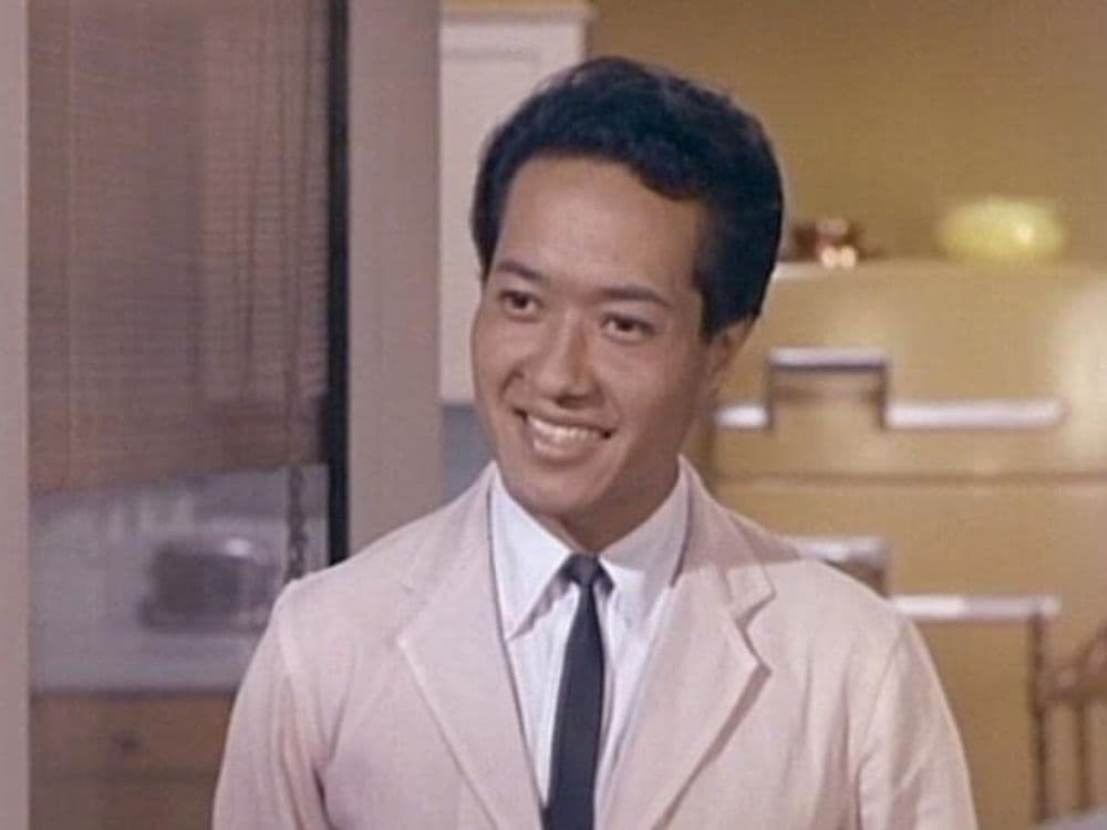 Hazel's Inquisitive Mind