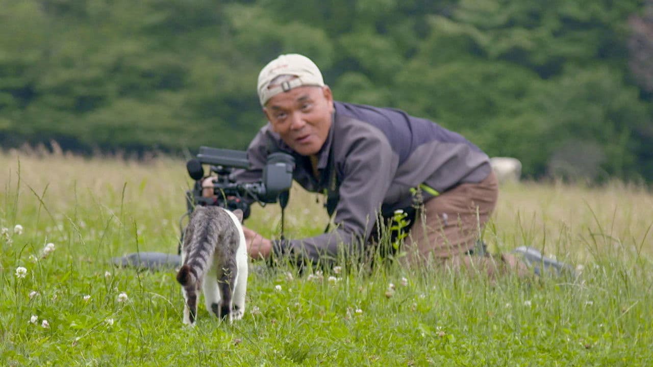 The Key to a Kitty's Heart - A Cat's-Eye View of Japan Special