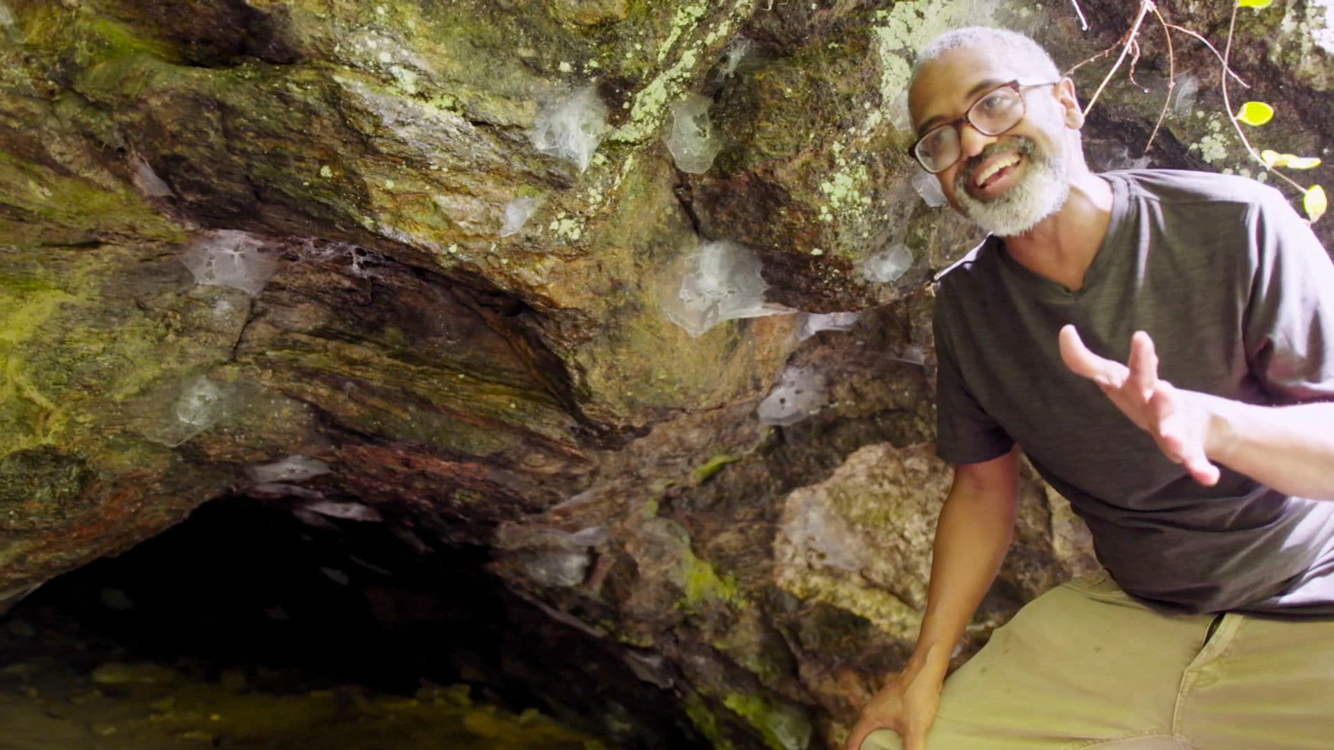 Contradictions in the Atlantic