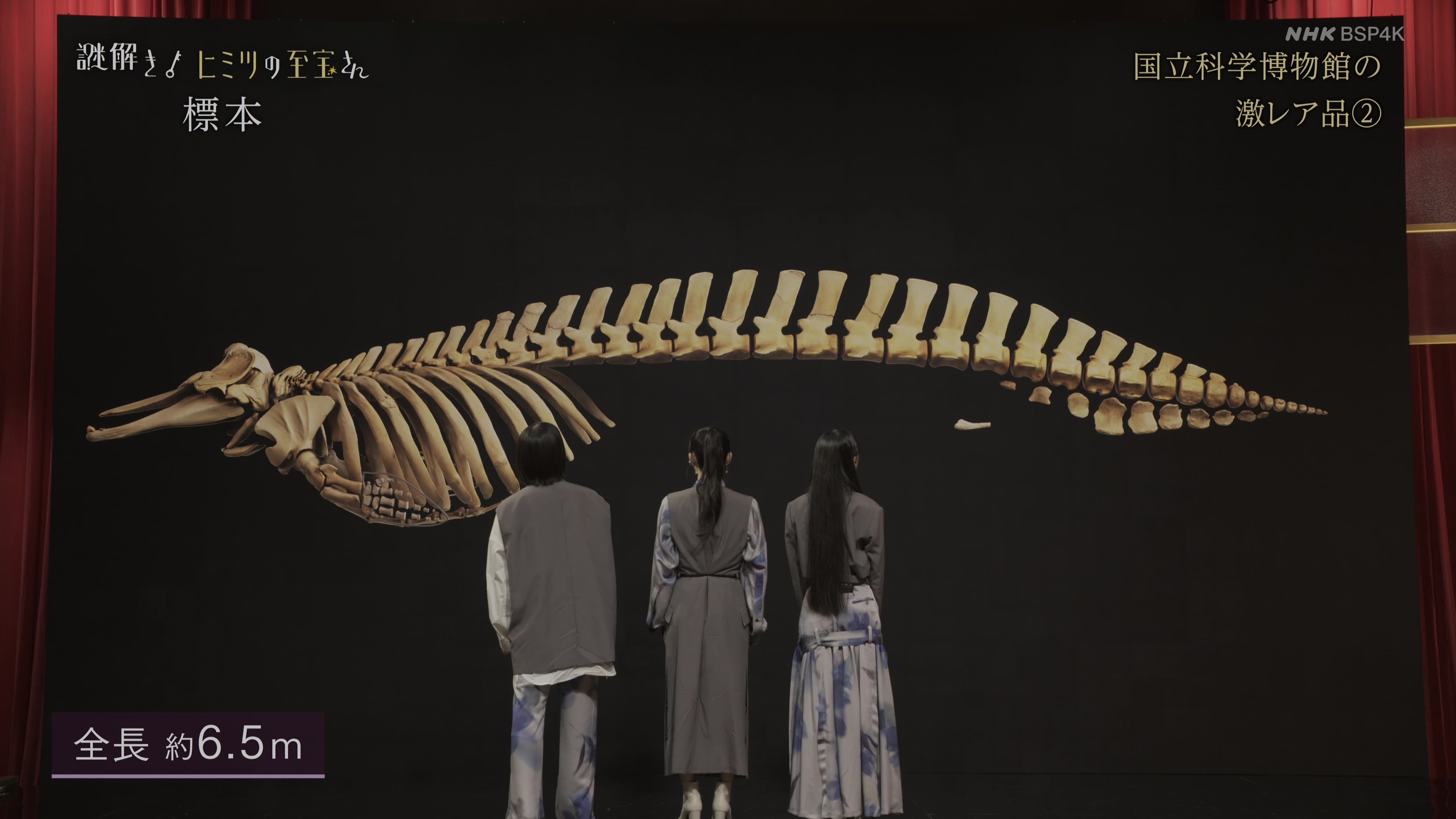 National Museum of Science Specimen