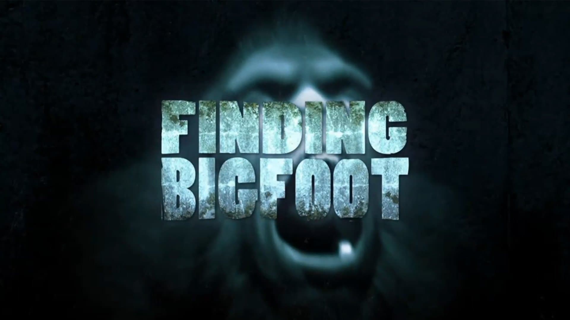 Bigfoot State of Mind