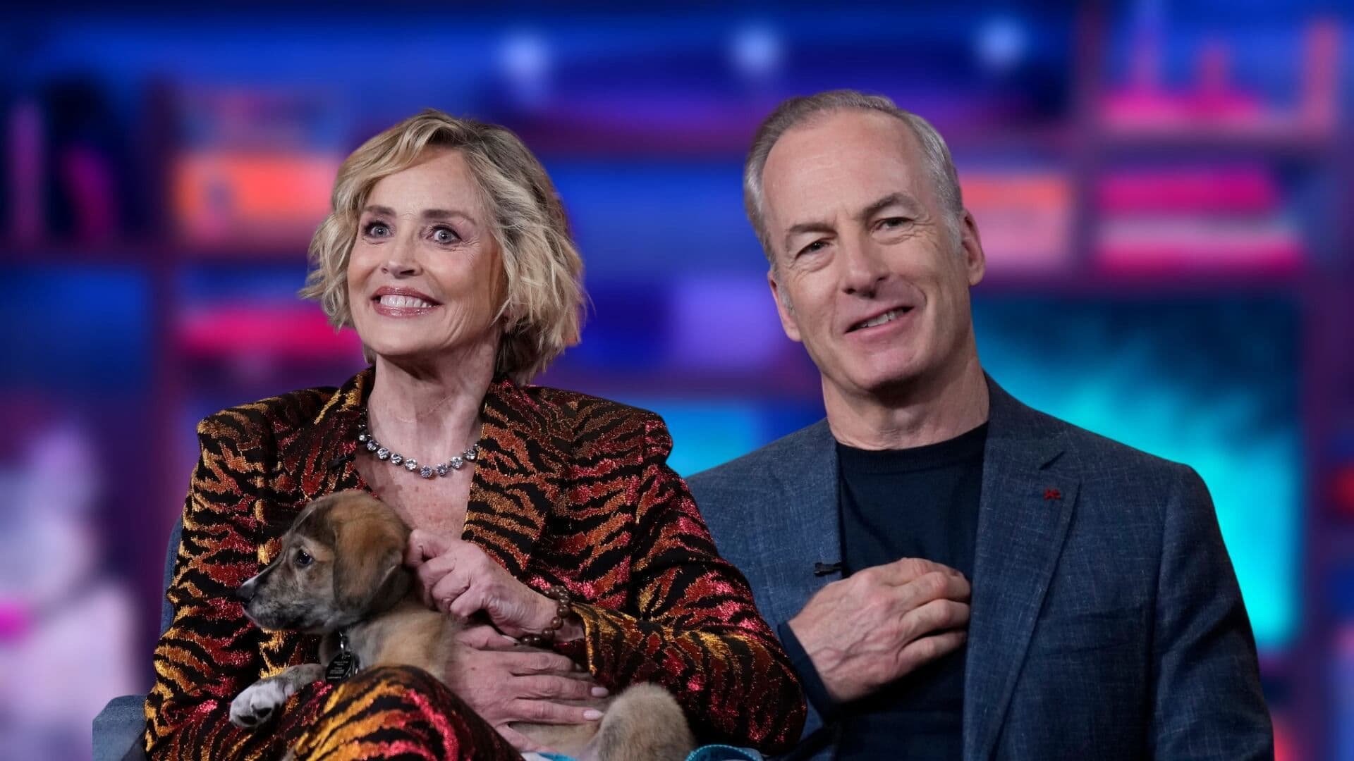 Sharon Stone, Bob Odenkirk