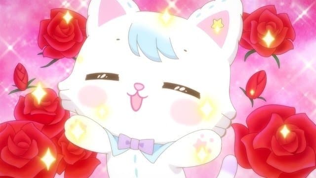 Bonjour Castle Is Glittering