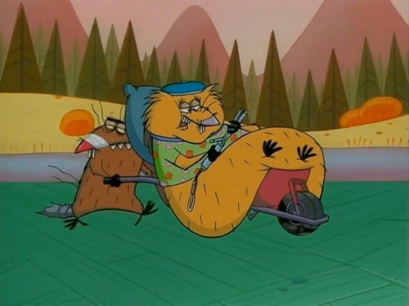 Chocolate Up to Experience