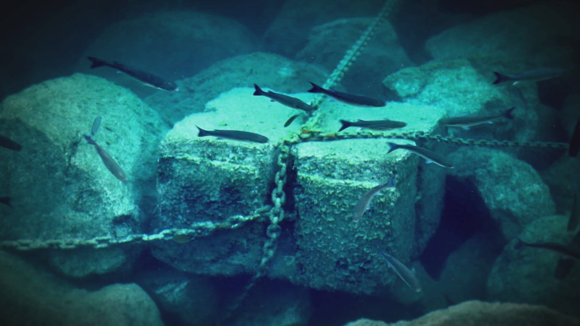 The Quest for Lost Treasures