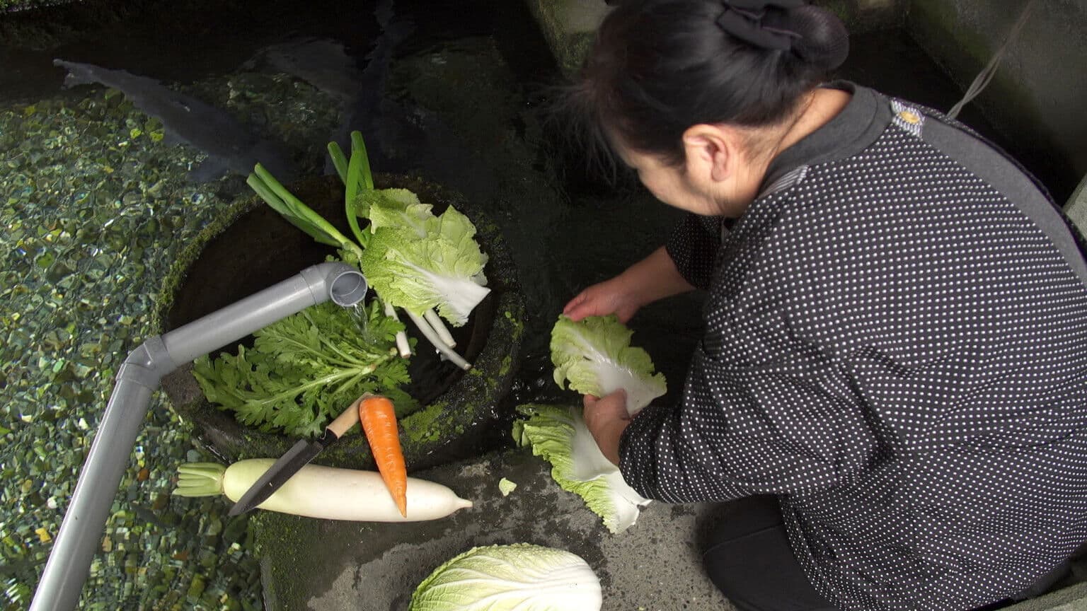 Through the Kitchen Window: Harie, Shiga - A Town Living with Water