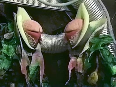 The Trial of a Time Lord: Part 11