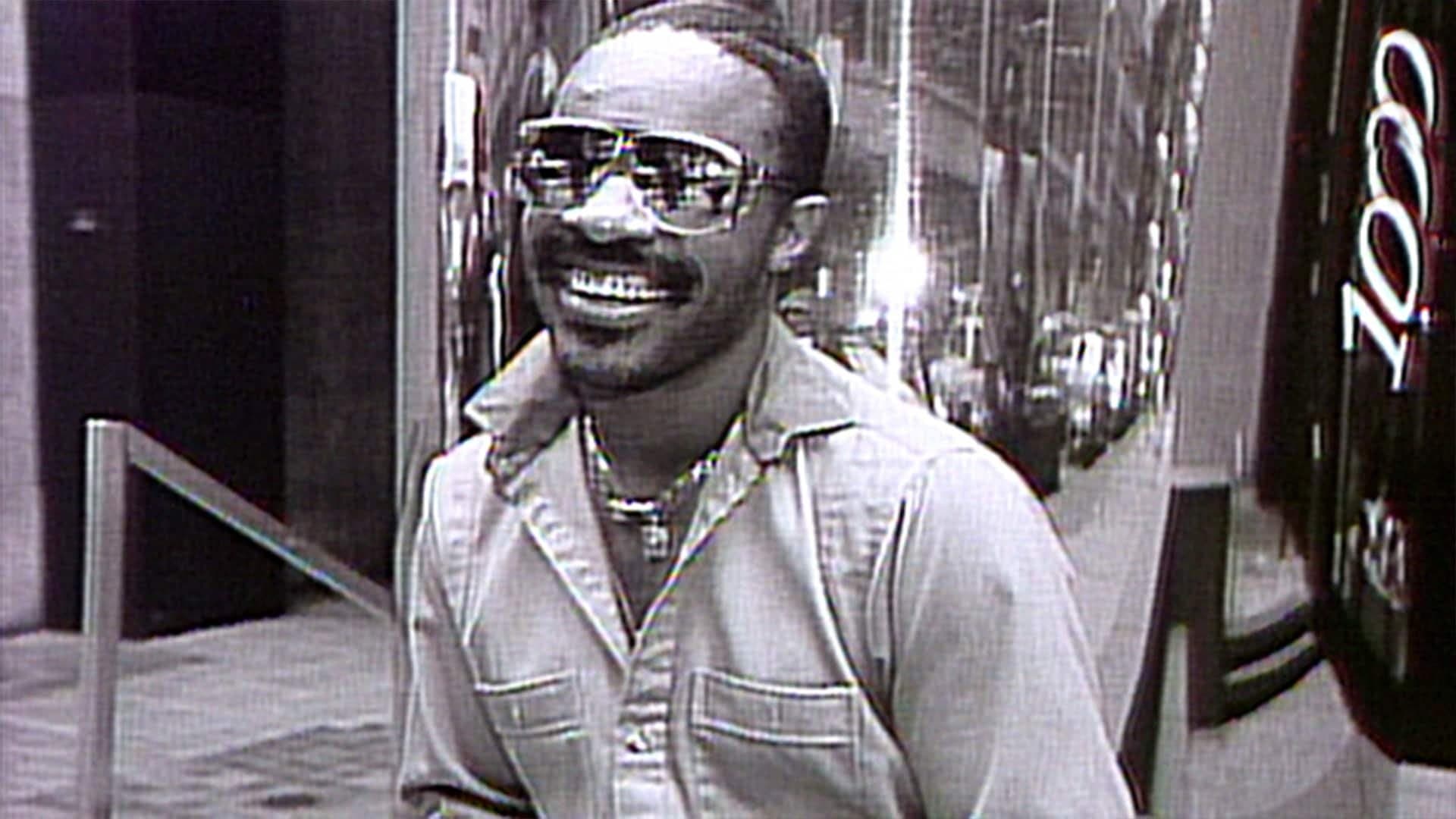 Stevie Wonder