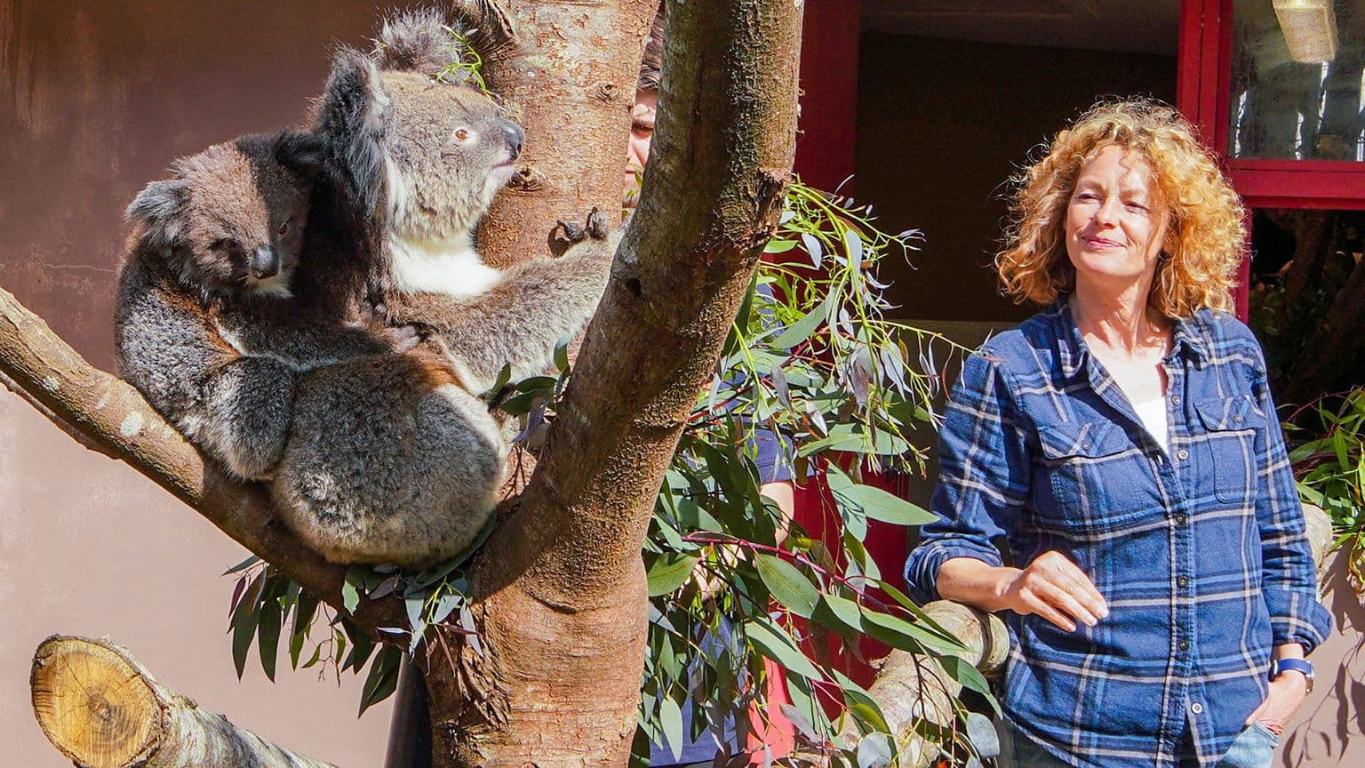 Summer 2022: Episode 7