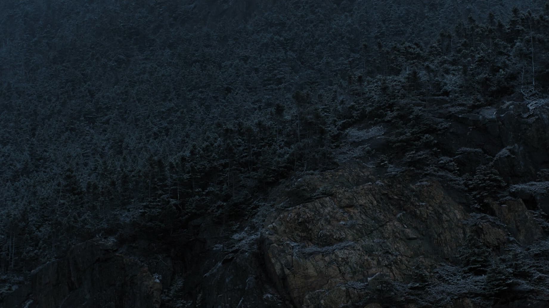 I Don't Want to Forget