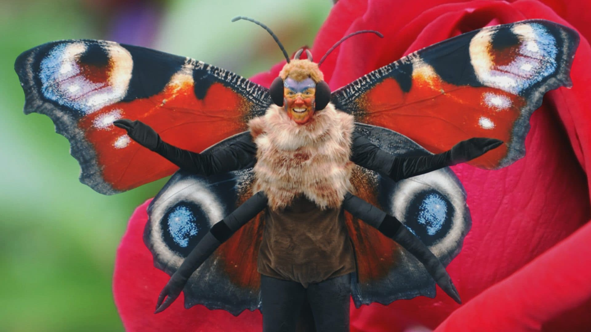 A Meteor For The Dinosaurs, Binary Bangers And Perilous Plants