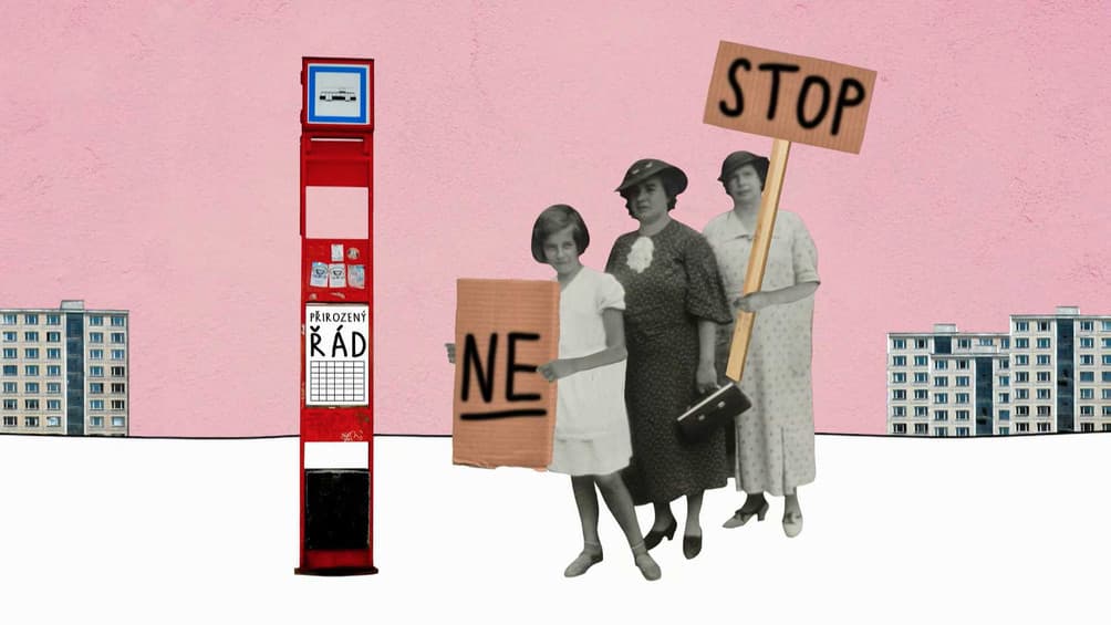 What is the purpose of feminists in the world?