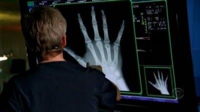 A Daze Of Wine And Roaches