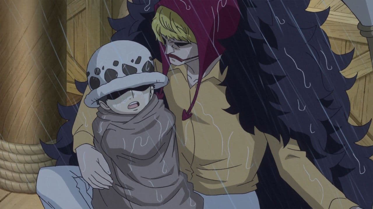 The Time is Ticking Down! Seize the Op-Op Fruit!