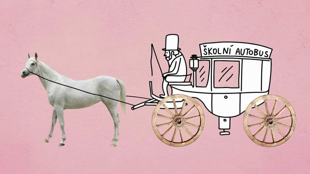 What is the point of women studying?