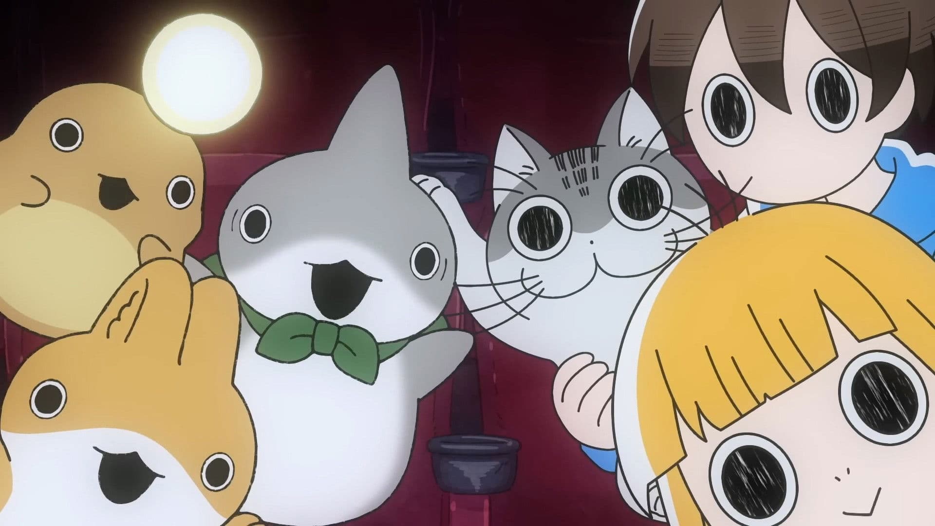 Little Shark's Outings x Nights with a Cat Manner Movie