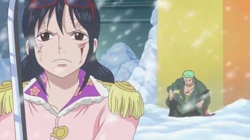 Showing Off His Techniques! Zoro's Formidable One-Sword Style!