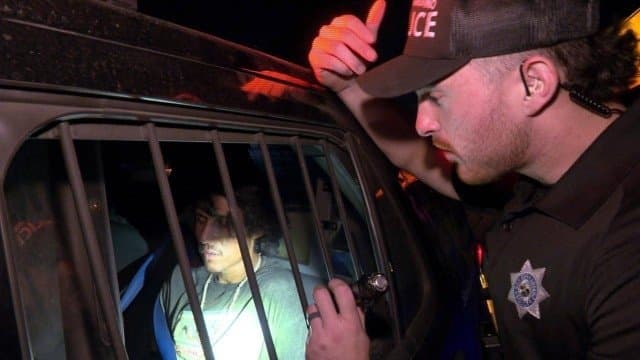 Zoomin' & Schroomin'