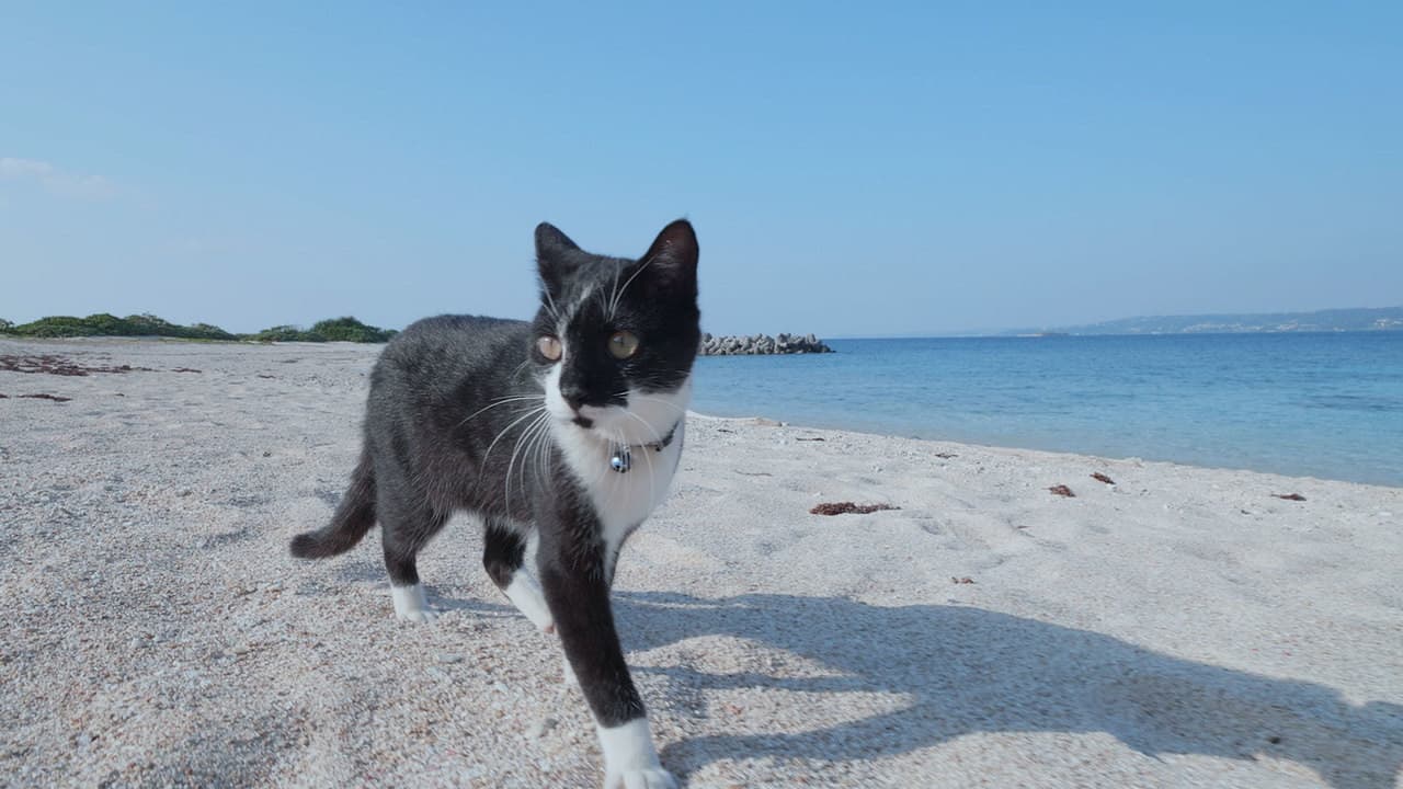 Okinawa/Kudaka: A Spiritual Paradise