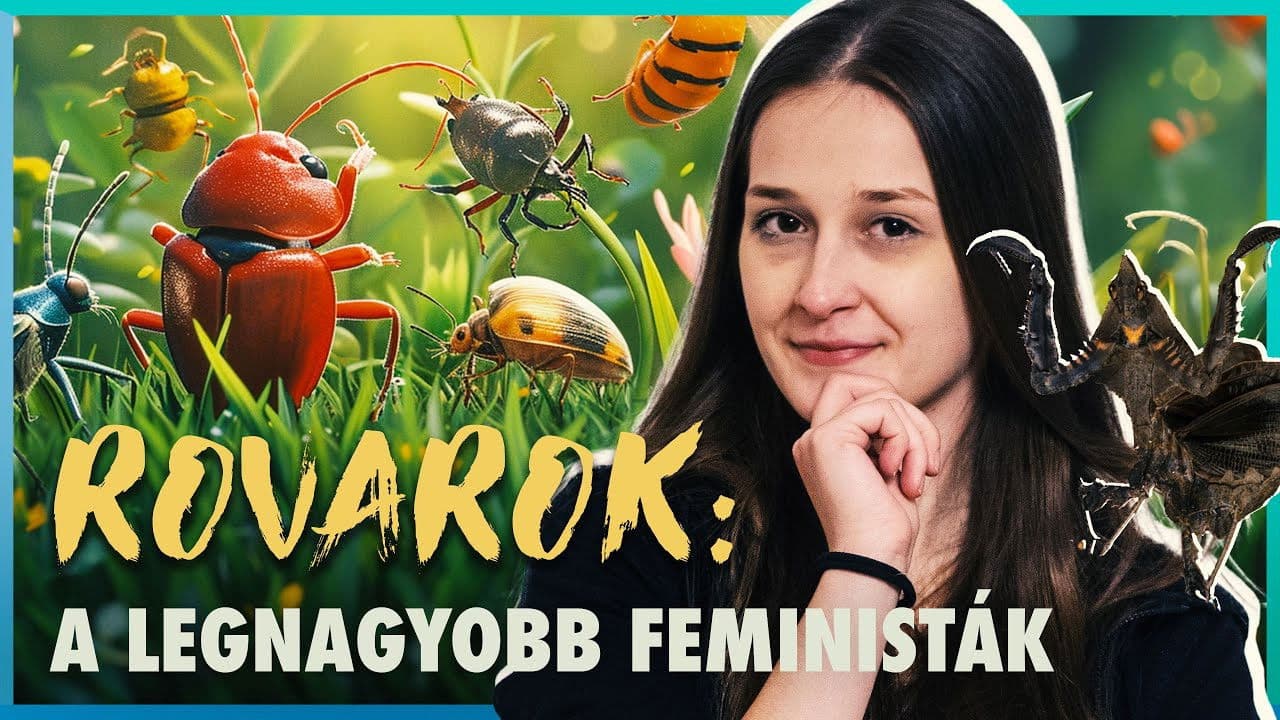 ŐK az IGAZI HÁTTÉRHATALOM