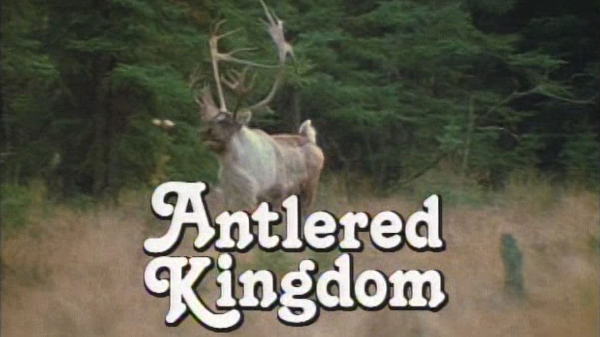 Antlered Kingdom
