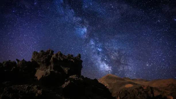 The Last Forest: Epilogue