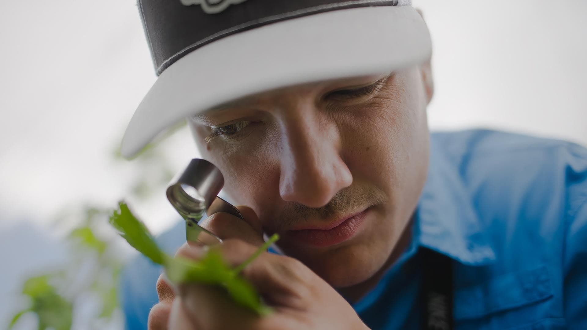 The Enemy of My Enemy