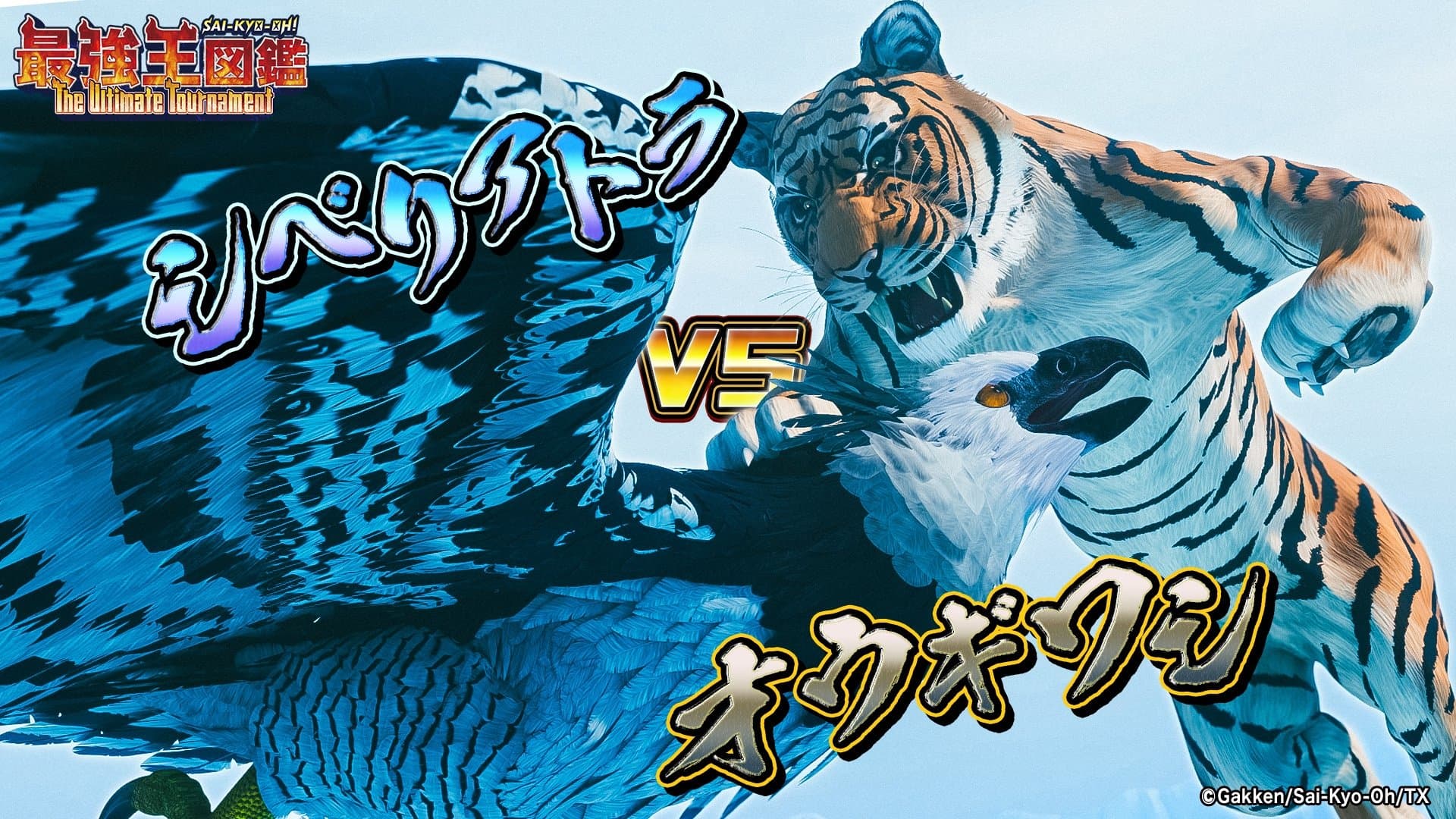 Siberian Tiger VS Great Eagle