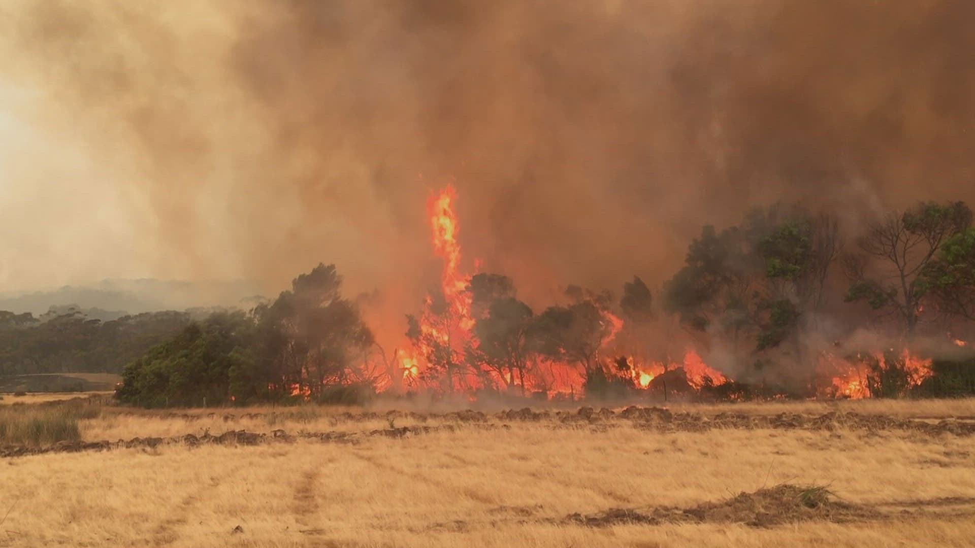 Where There's Smoke There's Ire