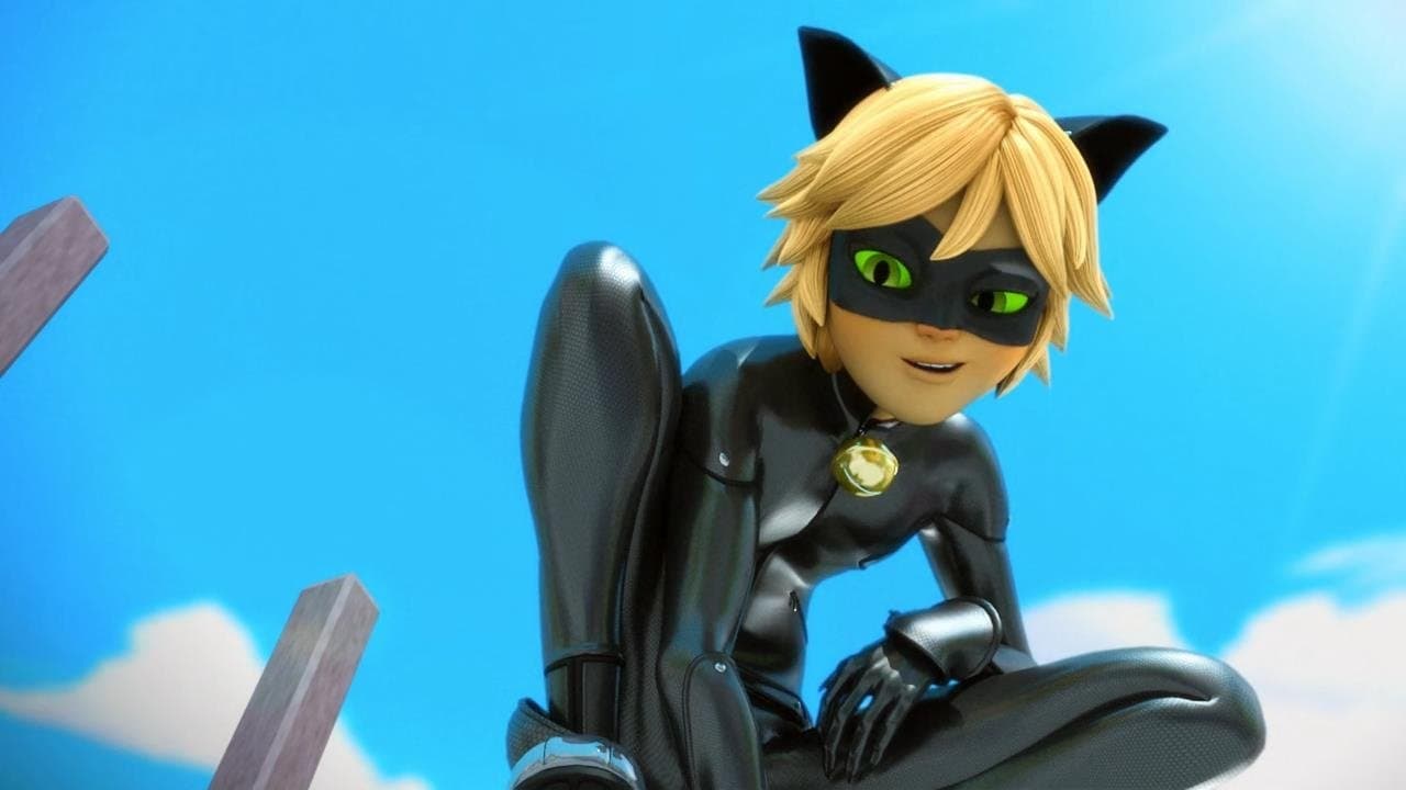 Cat Noir as seen by Marinette