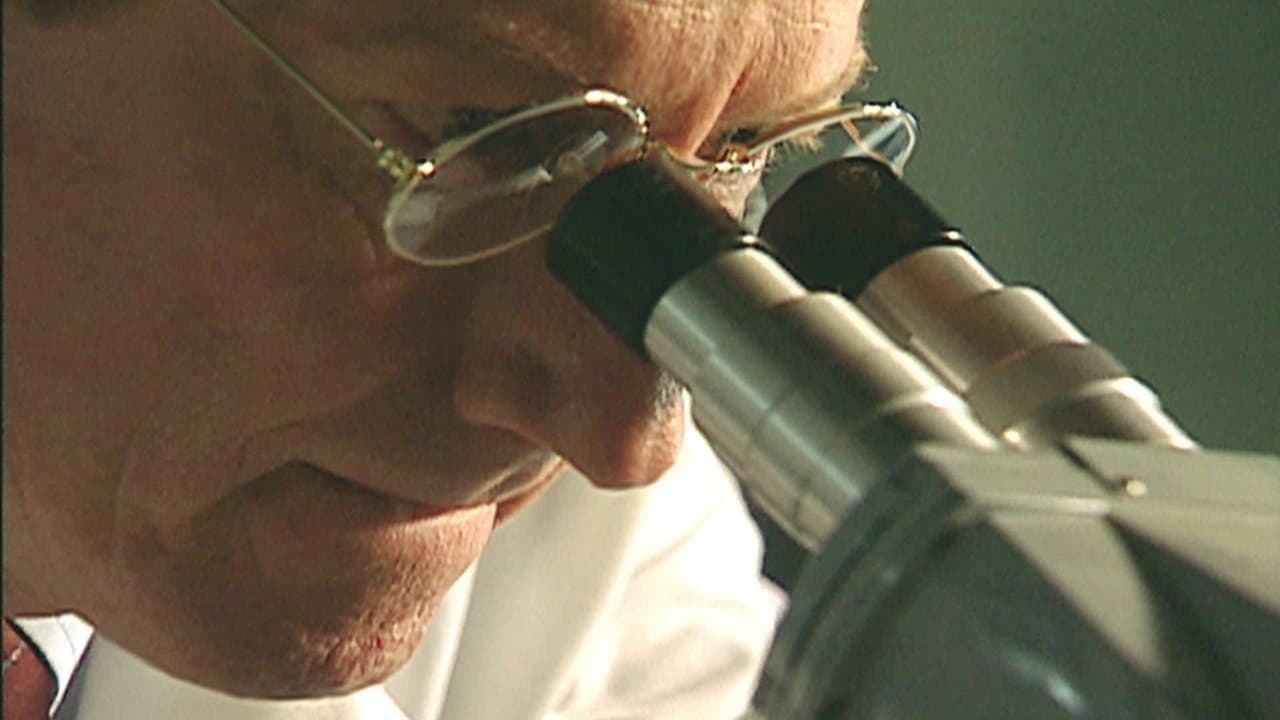 Melissa Brannen: Missing