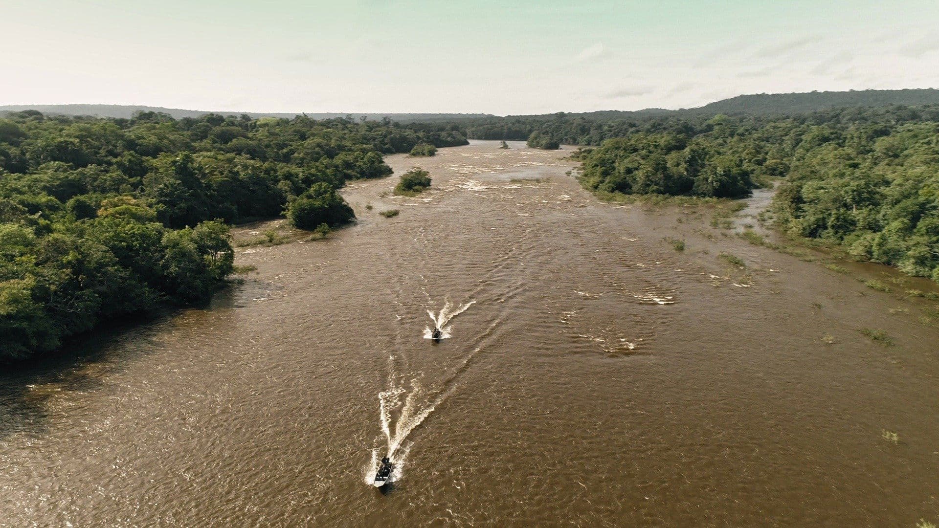 Lost Island Predators