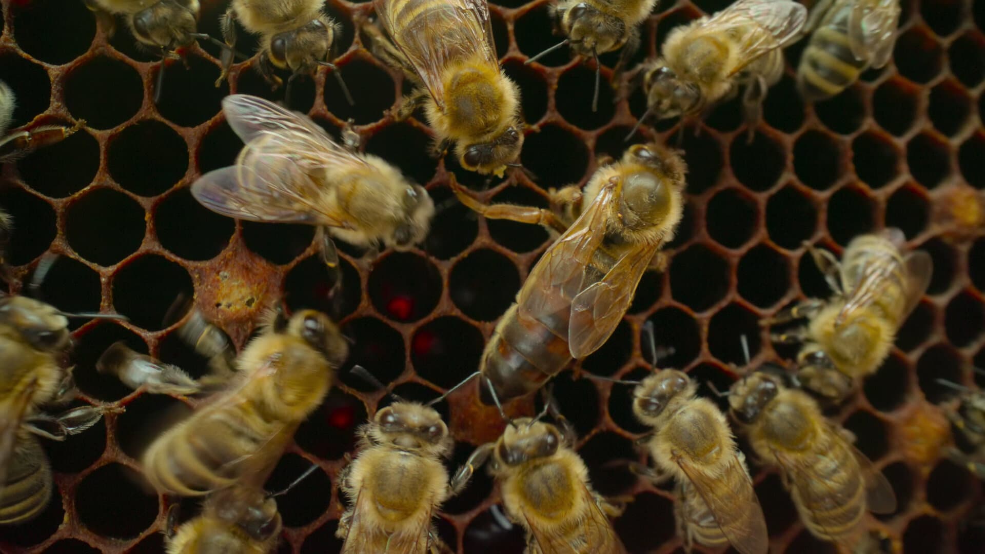 Chapter 2: Following the Sun