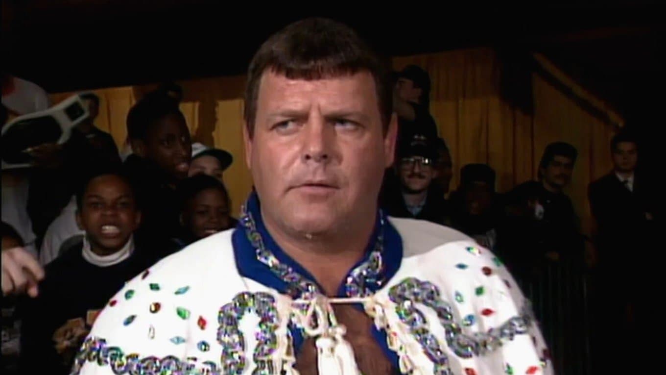 WWE WrestleMania IX Fallout