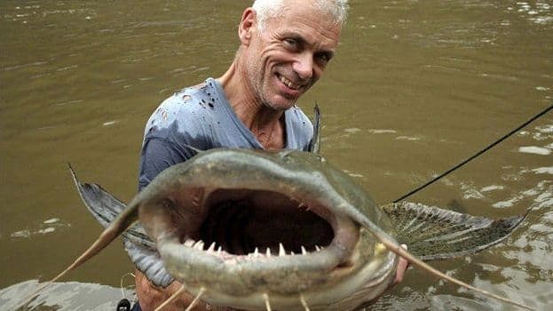 The Deadliest Catfish