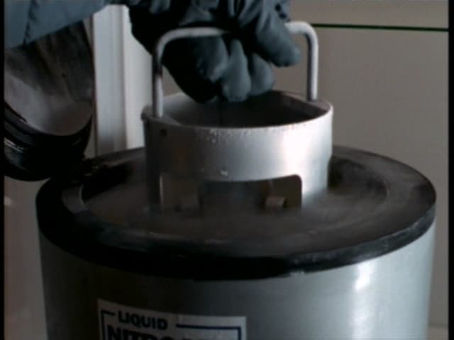 Behind the truth - The Erlenmeyer flask