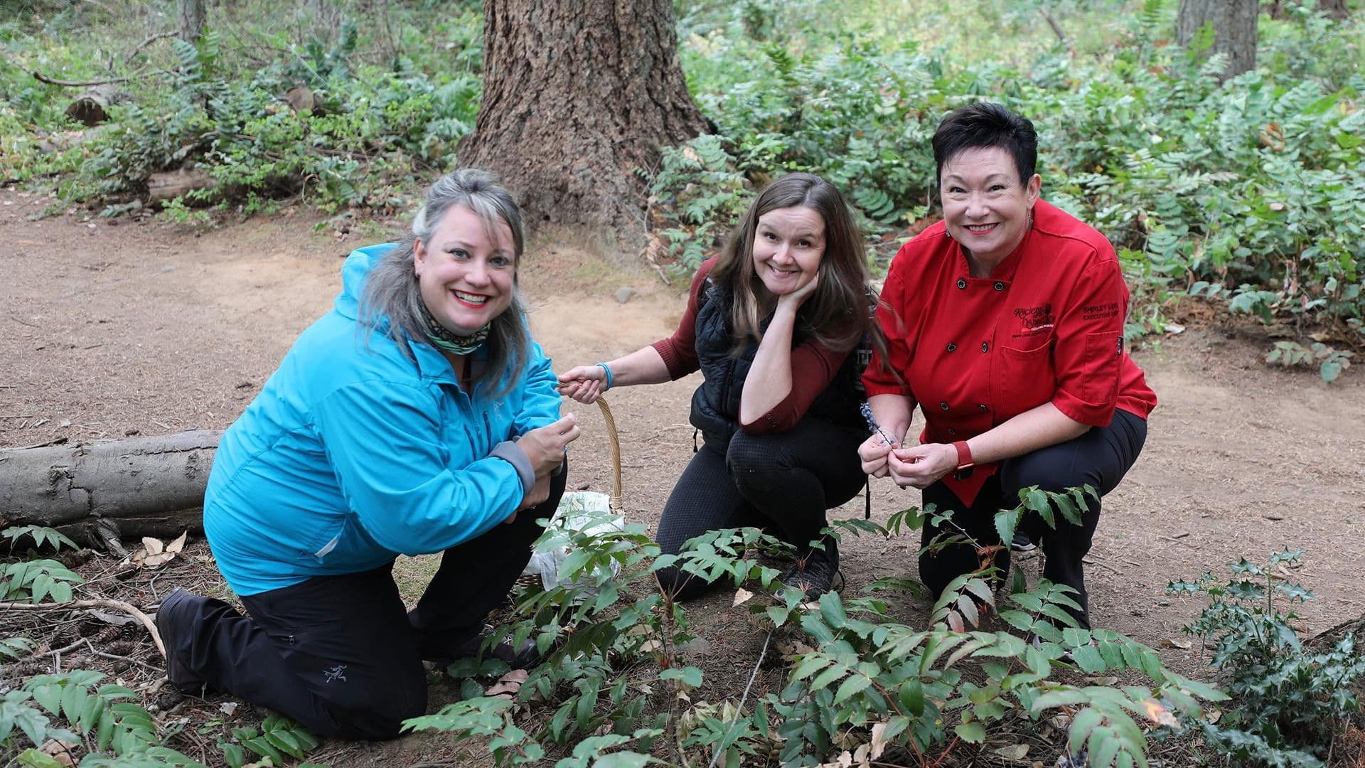 Indigenous Cooking and a Sunshine Coast Adventure